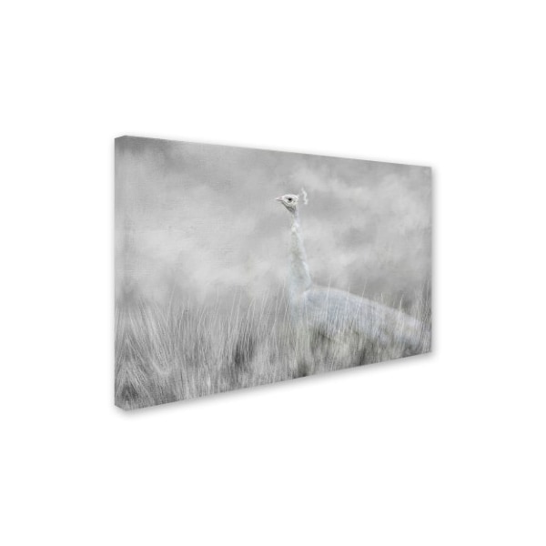 Jai Johnson 'White Beauty In The Field' Canvas Art,30x47